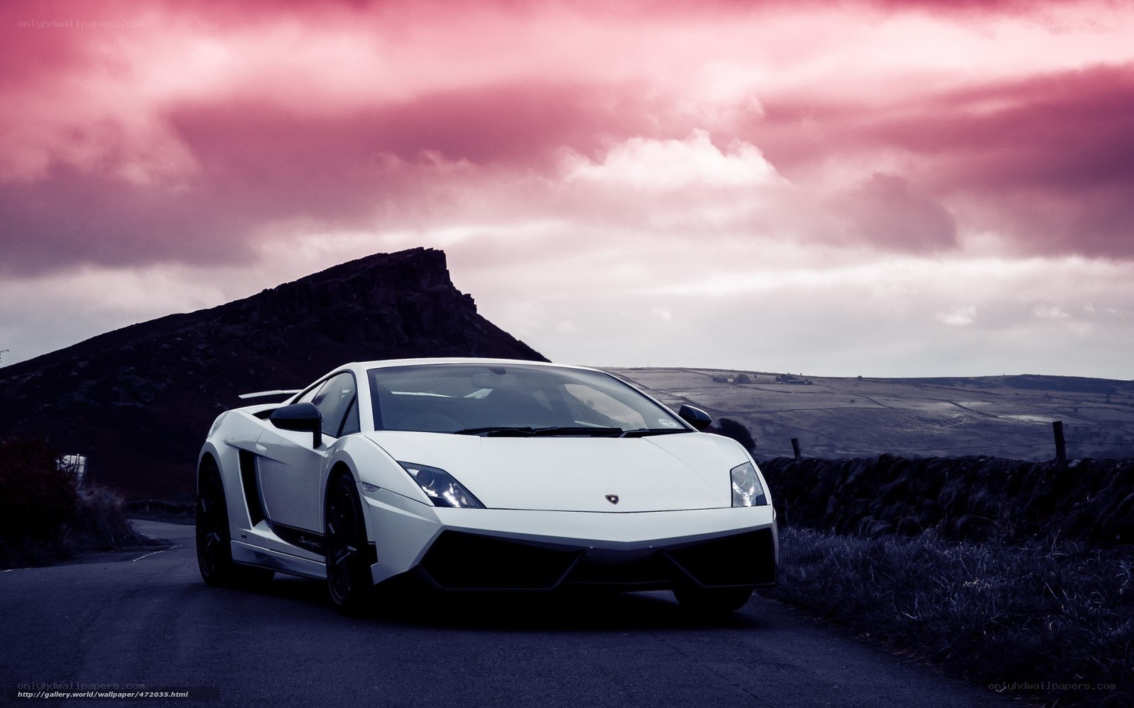 White Lamborghini on a road
