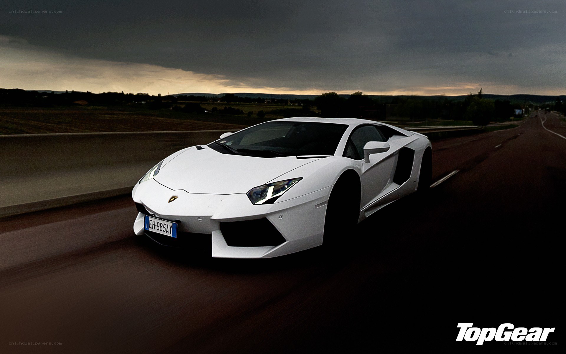 white lamborghini on a road