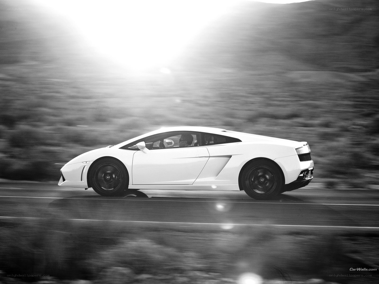 White Lamborghini on a road