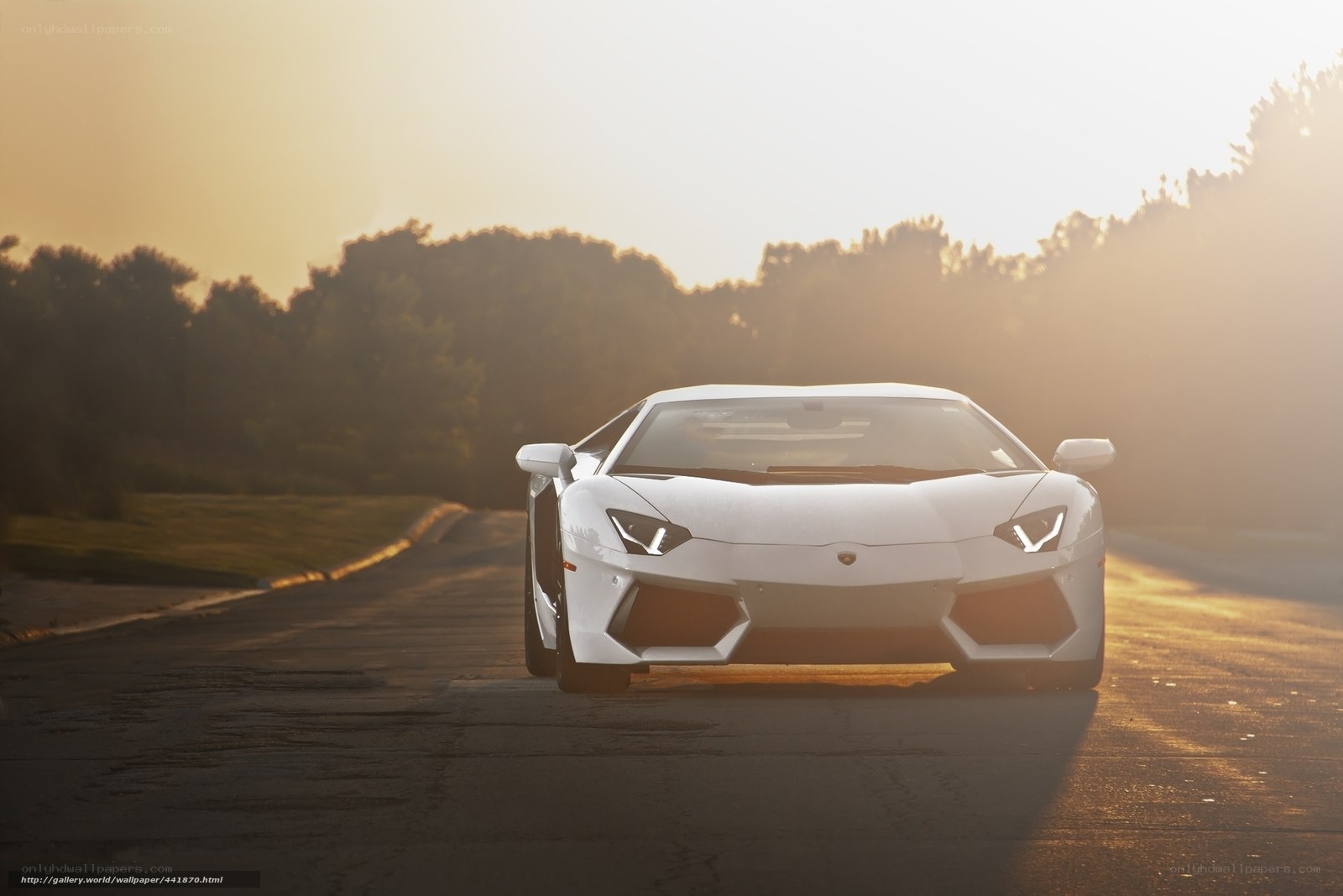 White Lamborghini on a road