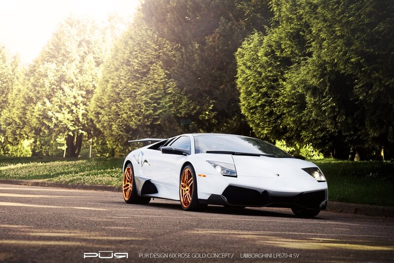 White Lamborghini on a tree-lined road