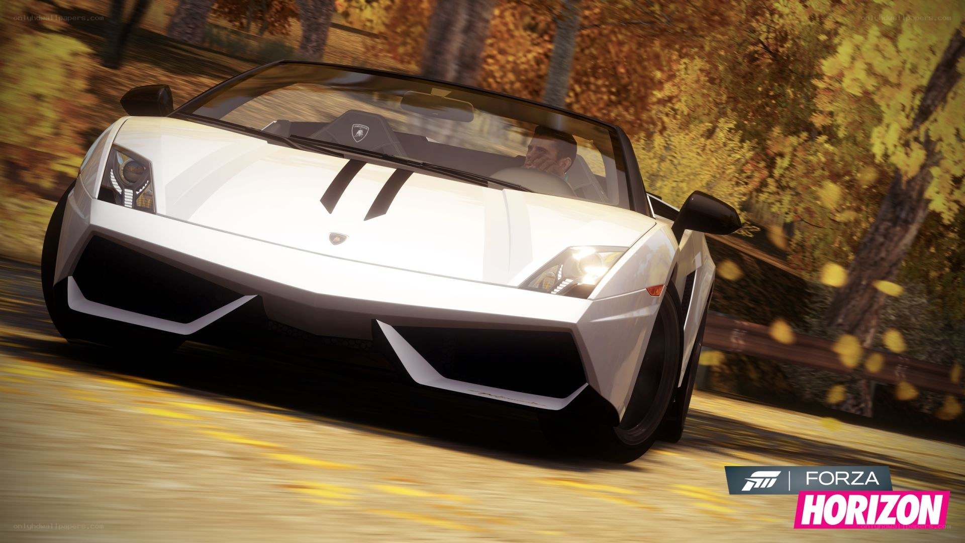 White Lamborghini on autumn road
