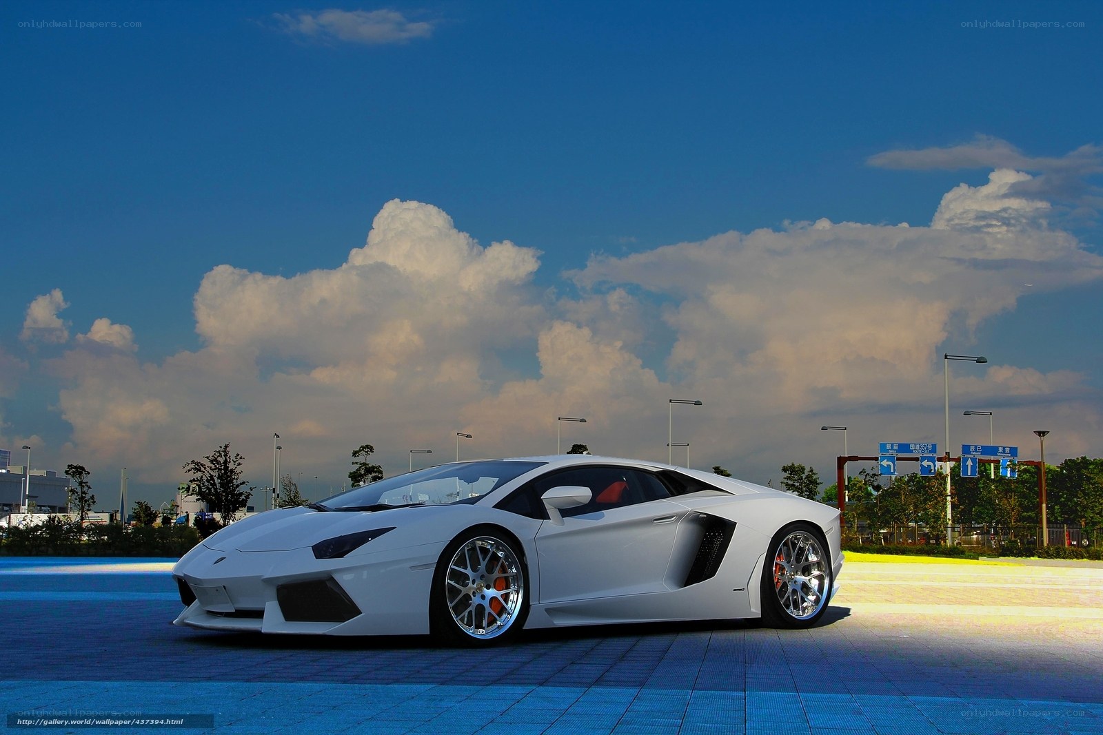 White Lamborghini on blue pavement