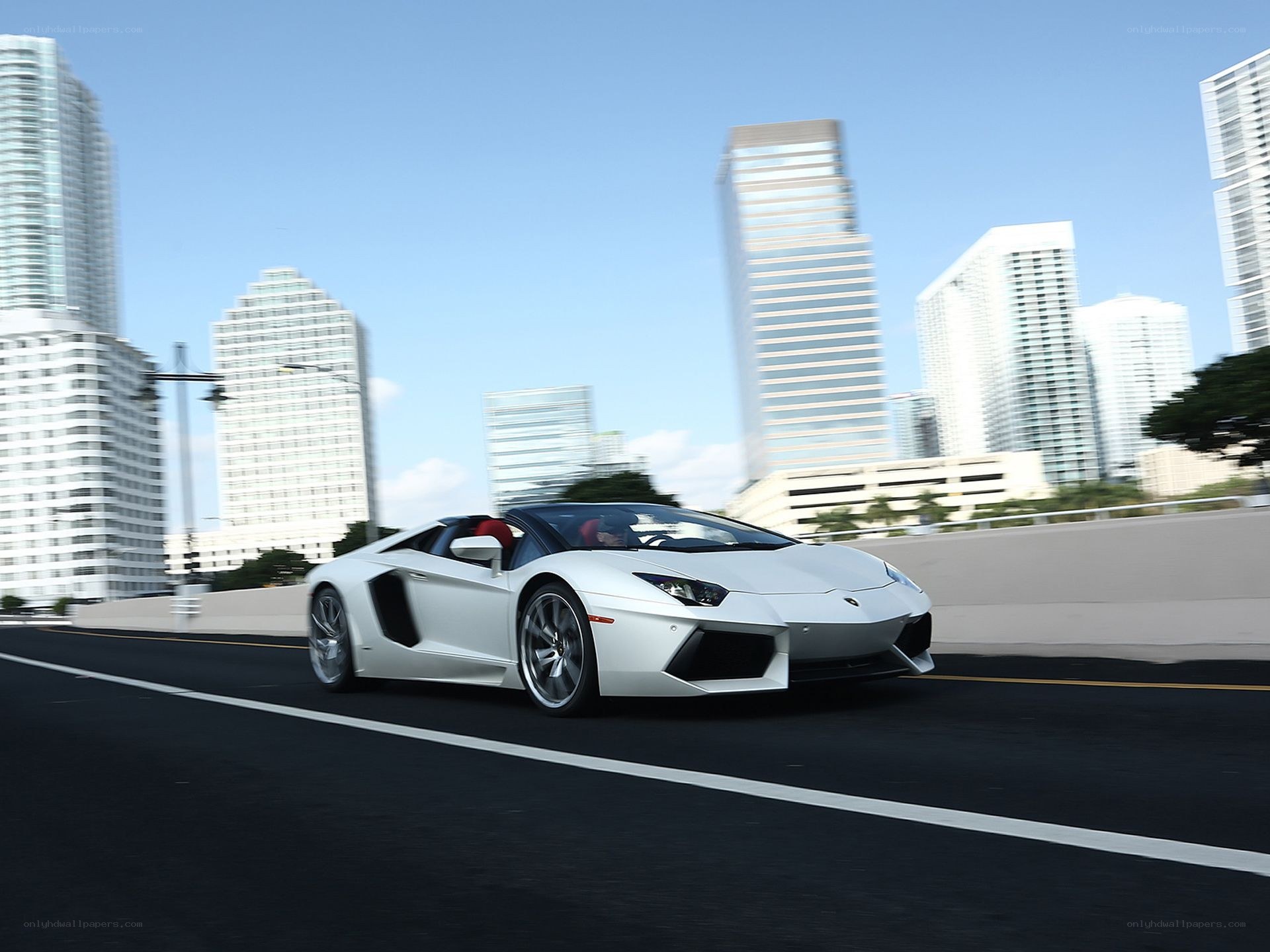 White Lamborghini on city road