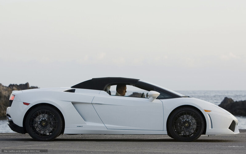 white lamborghini on coast