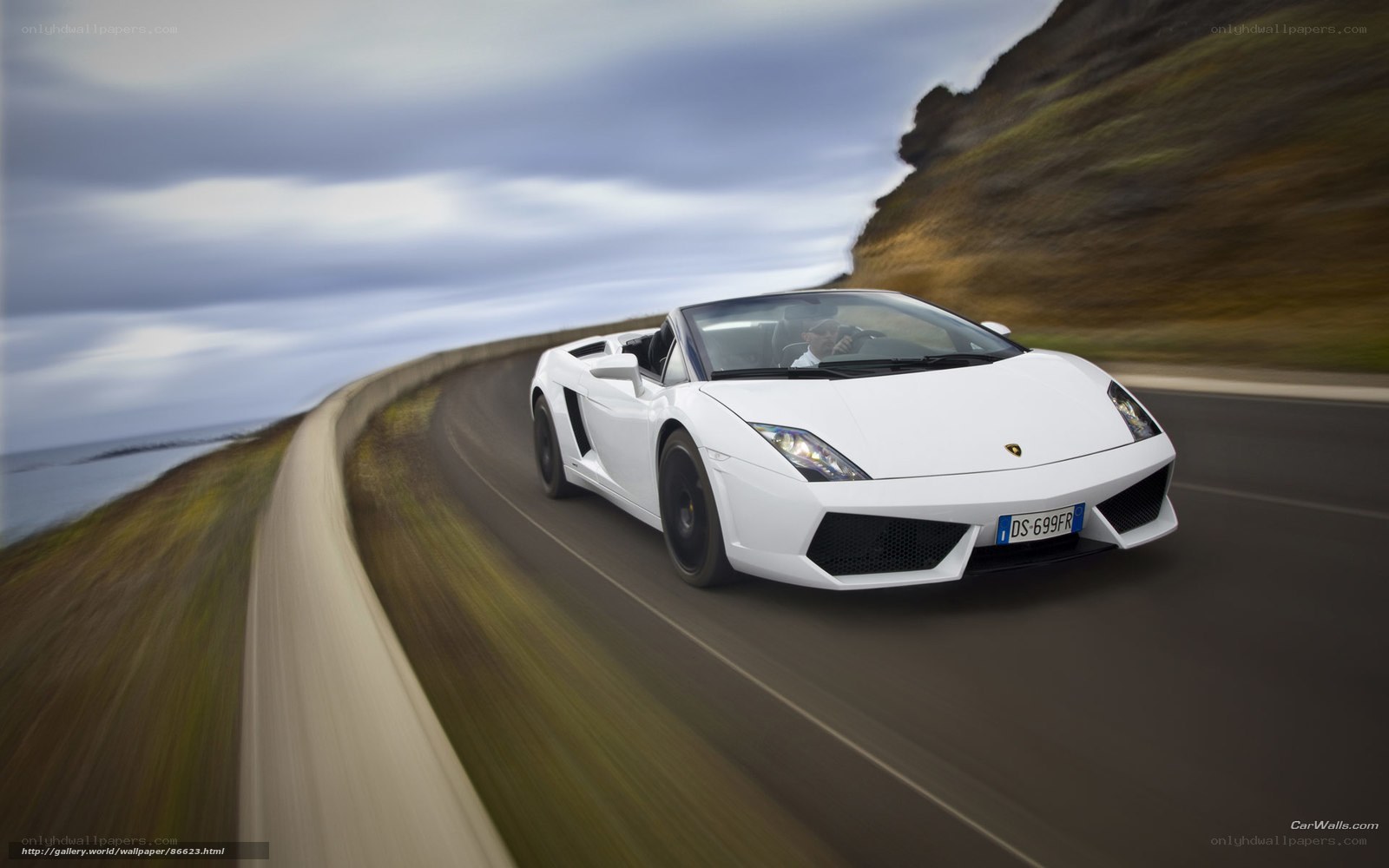 White Lamborghini on coastal road