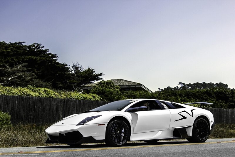 White Lamborghini on coastal road
