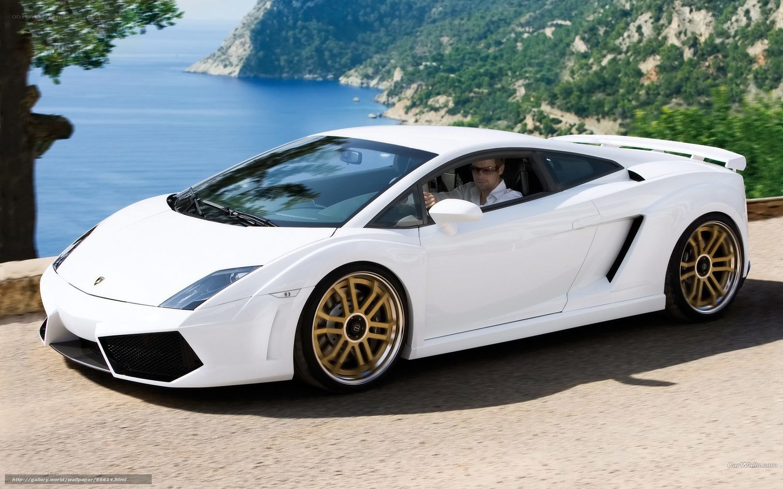 White Lamborghini on coastal road