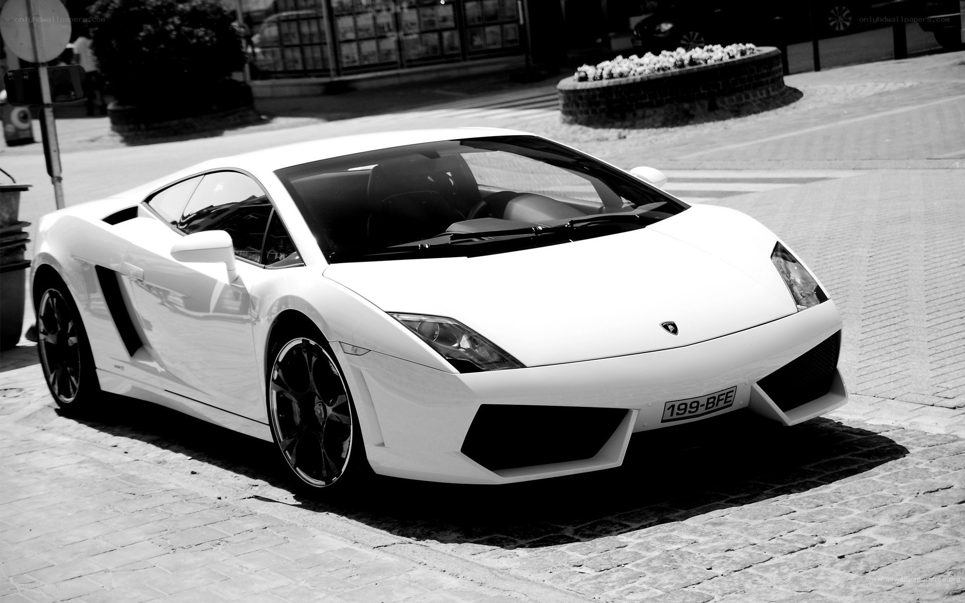white lamborghini on cobblestones