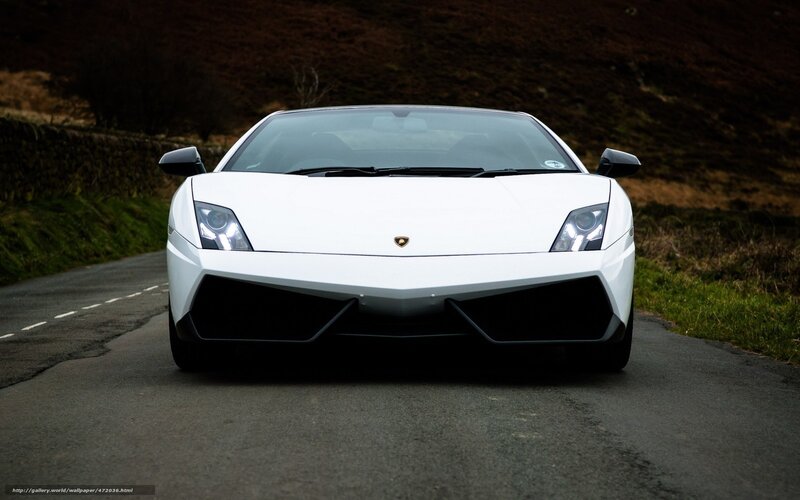 white lamborghini on country road