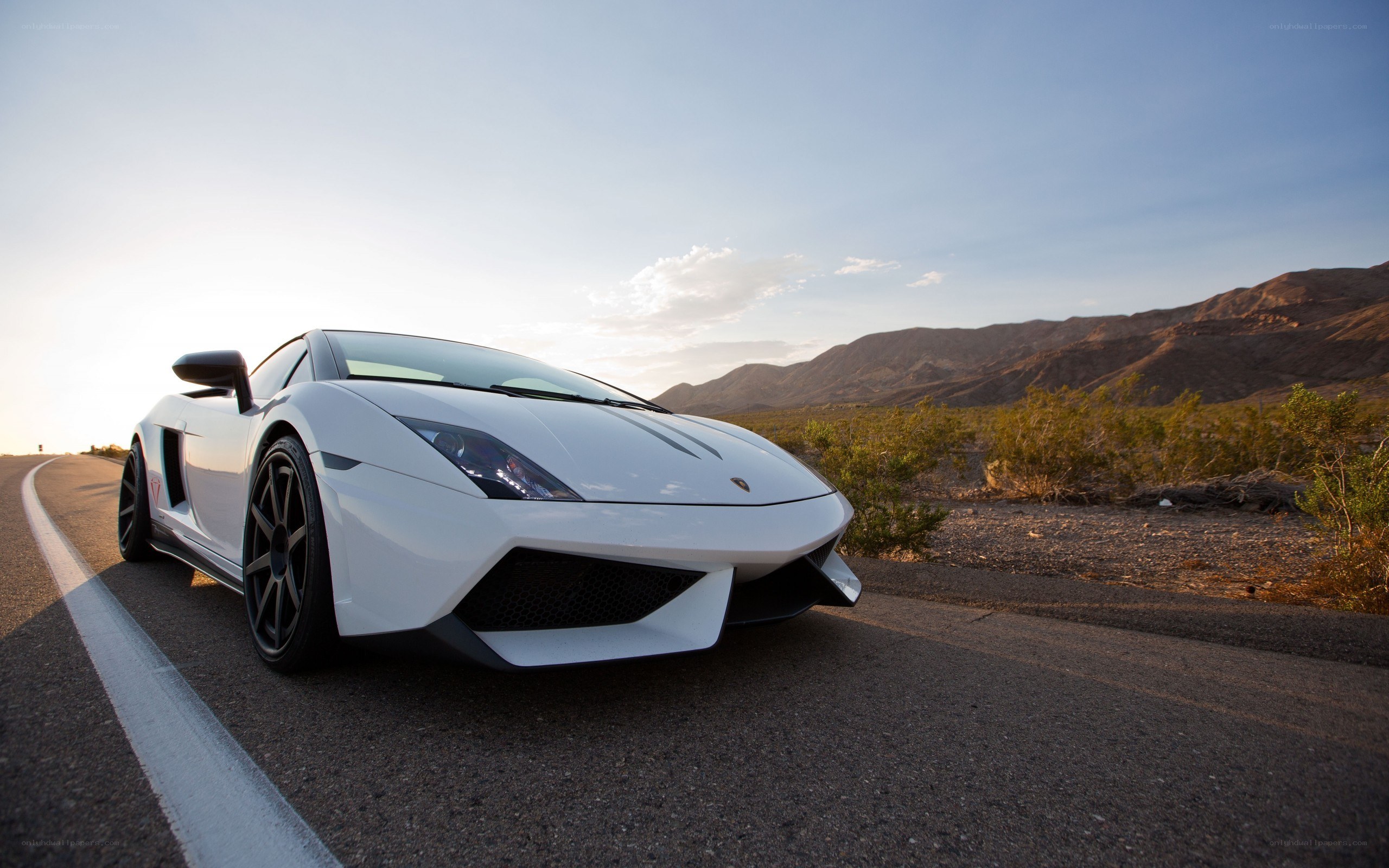 White Lamborghini on desert road