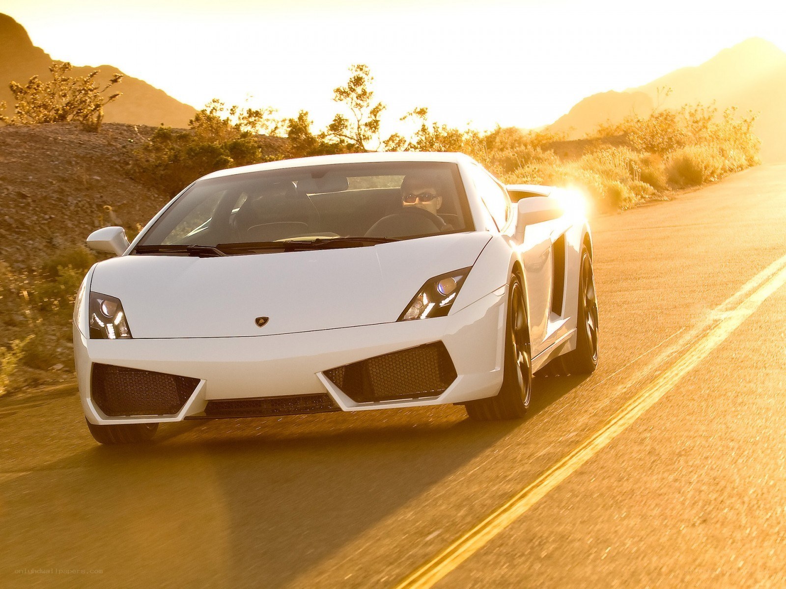 white lamborghini on desert road