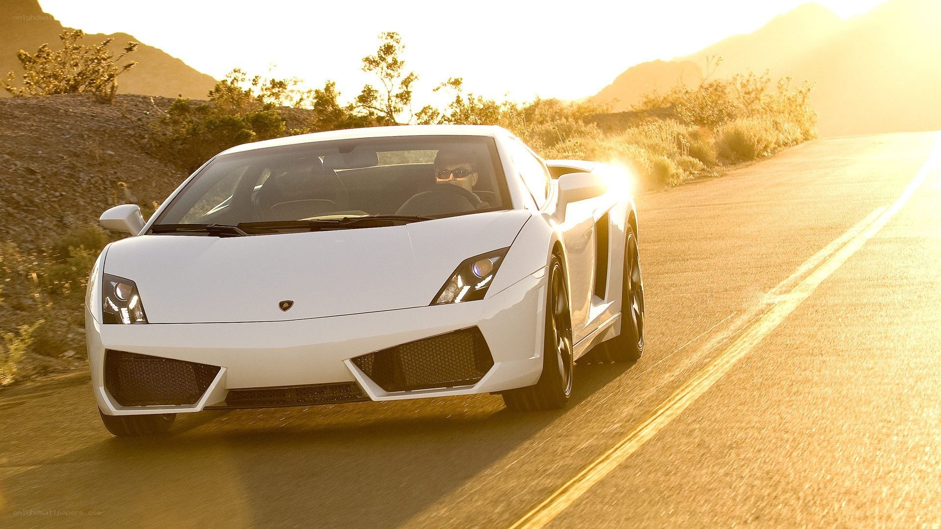 white lamborghini on desert road