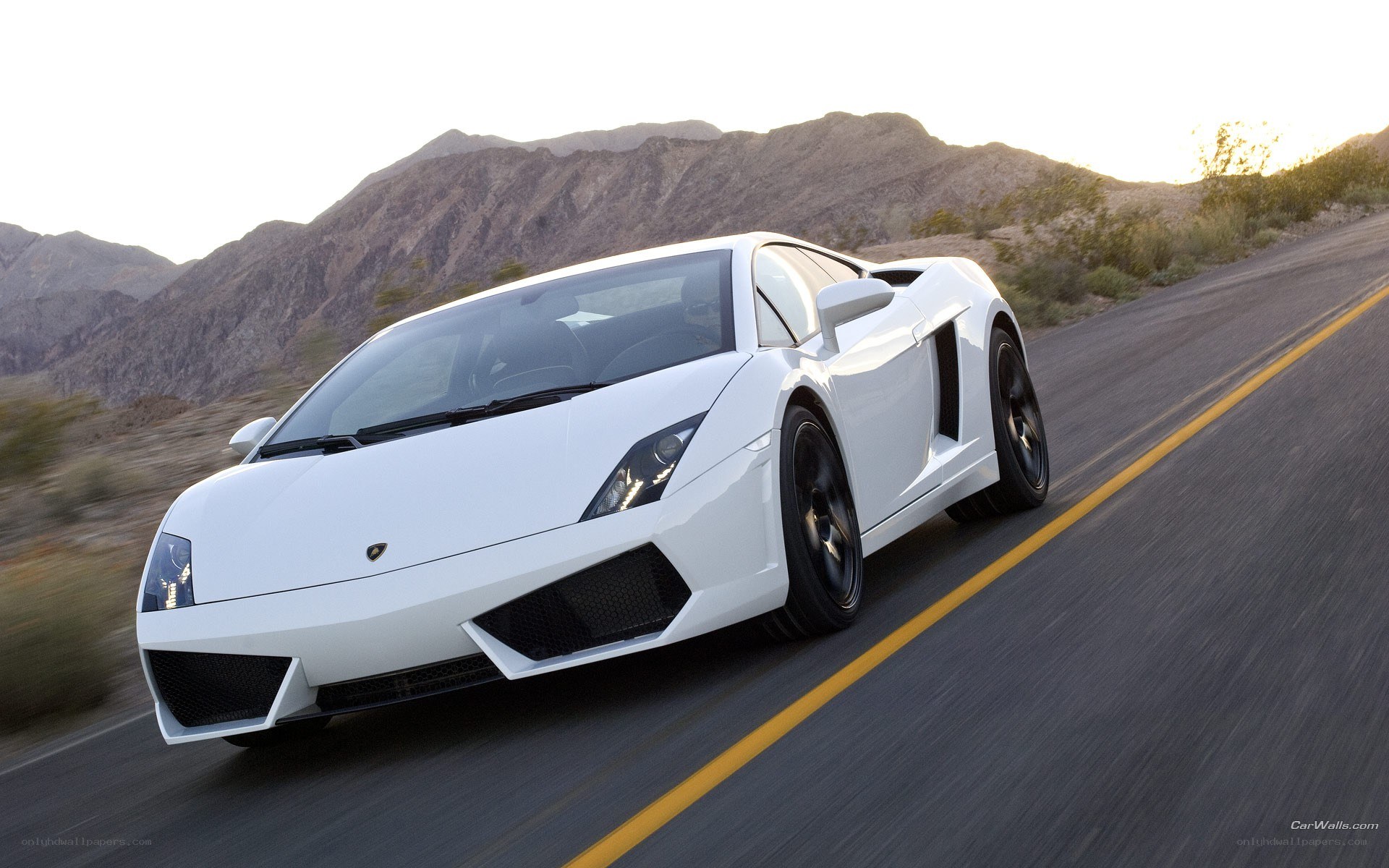 white lamborghini on desert road