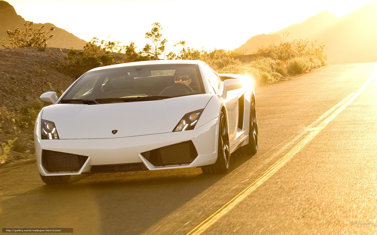 White Lamborghini on desert road