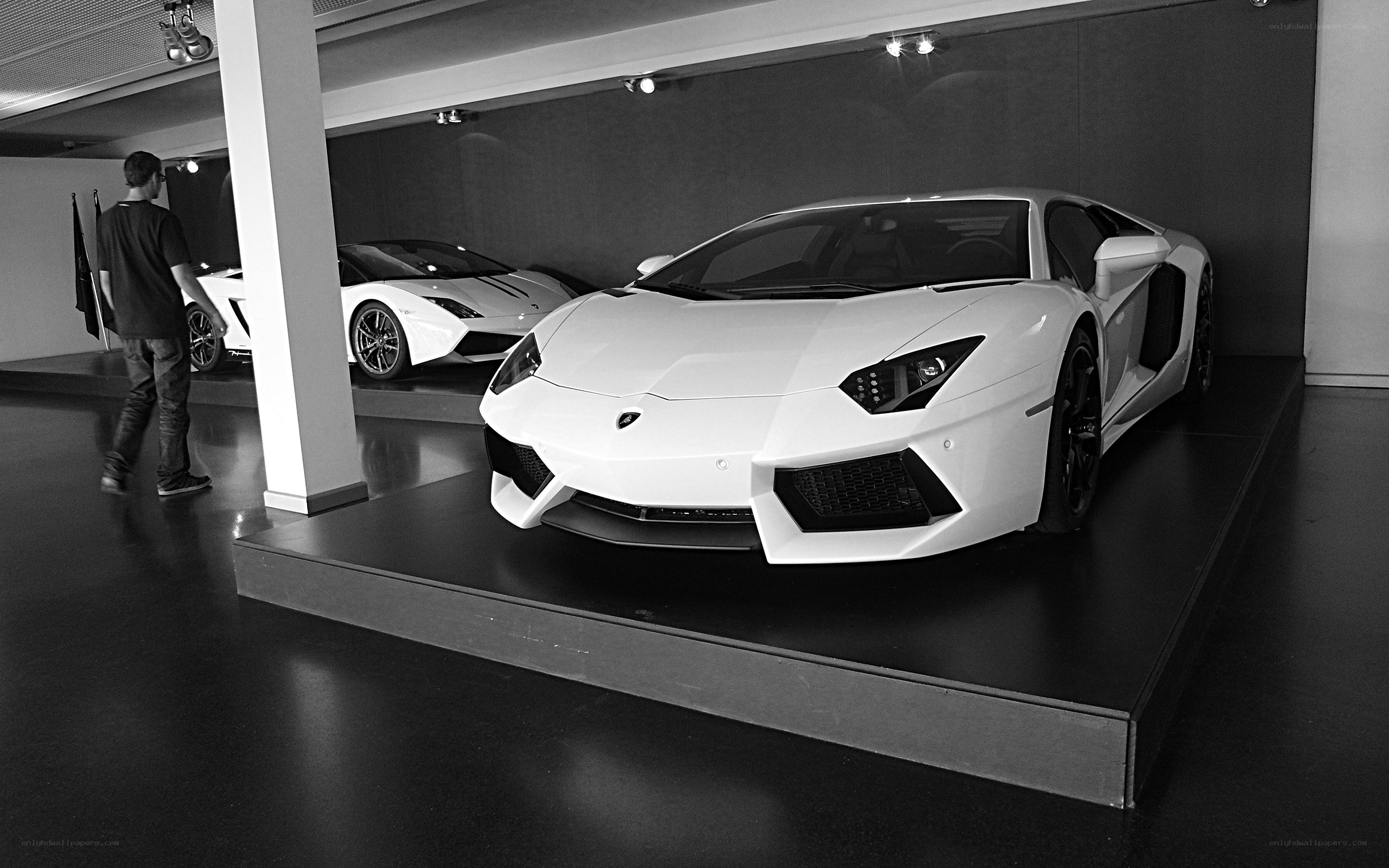 White Lamborghini on display