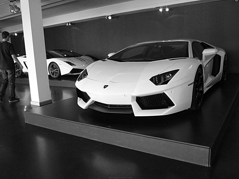White Lamborghini on display