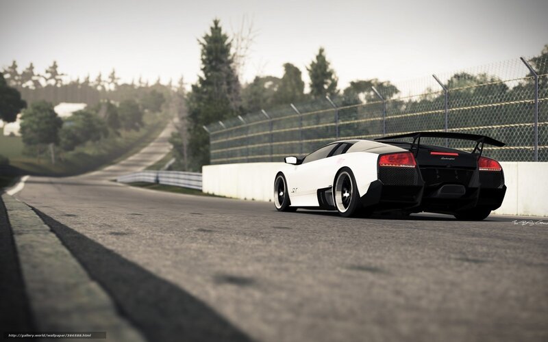White Lamborghini on racetrack