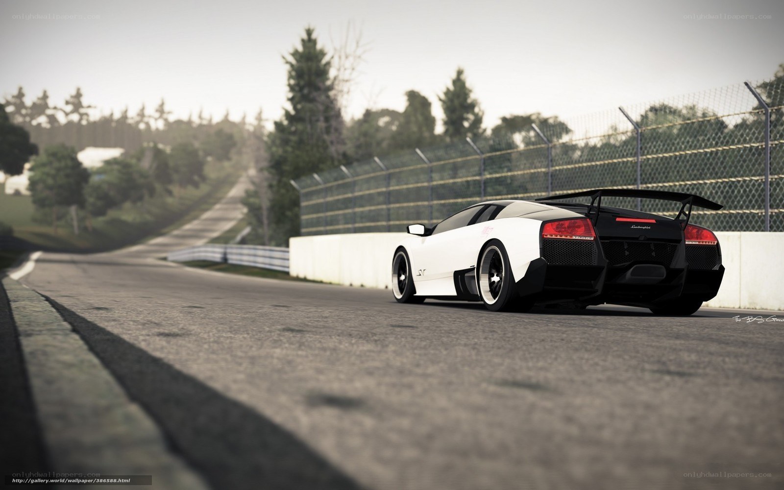 White Lamborghini on racetrack