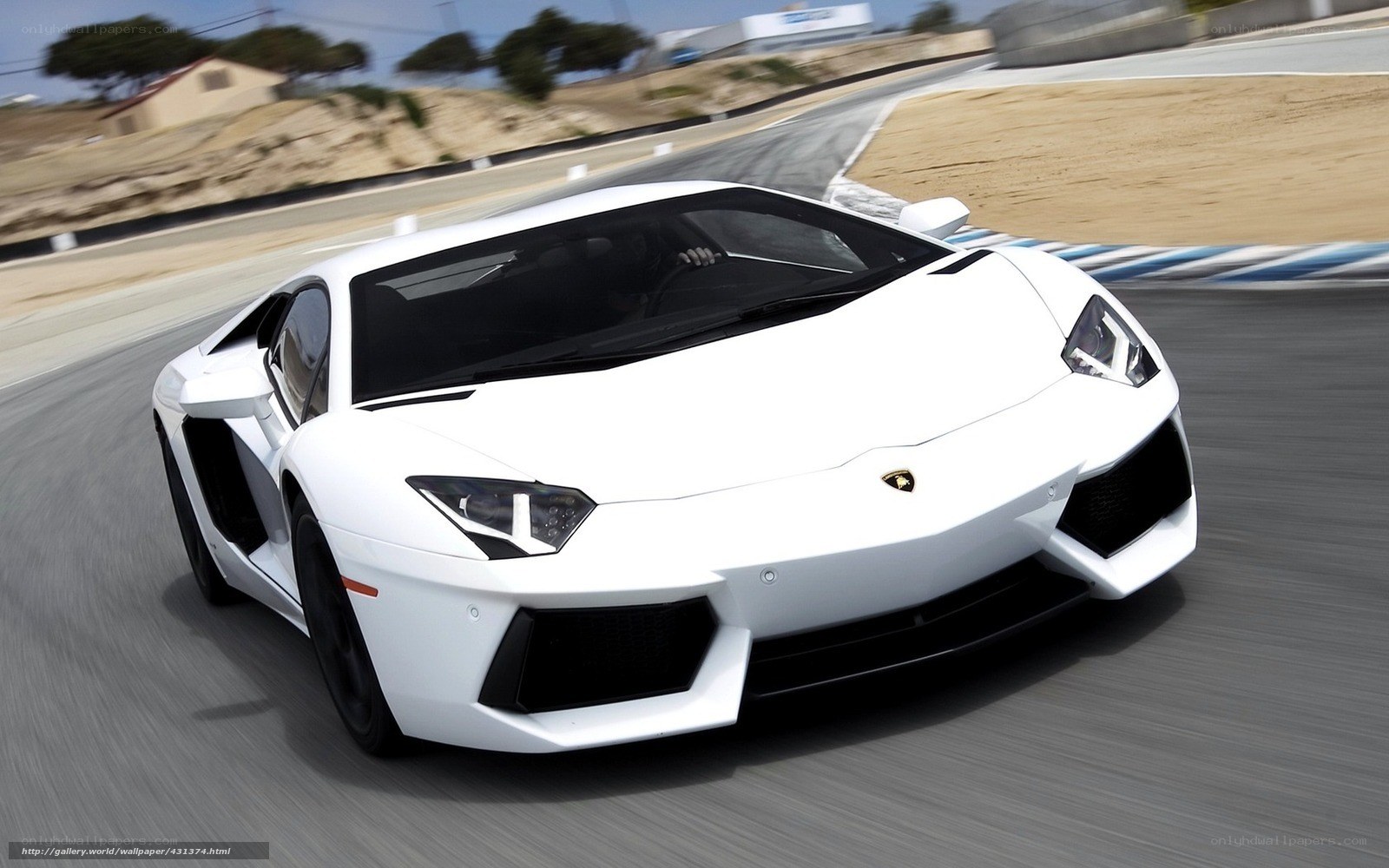white lamborghini on racetrack