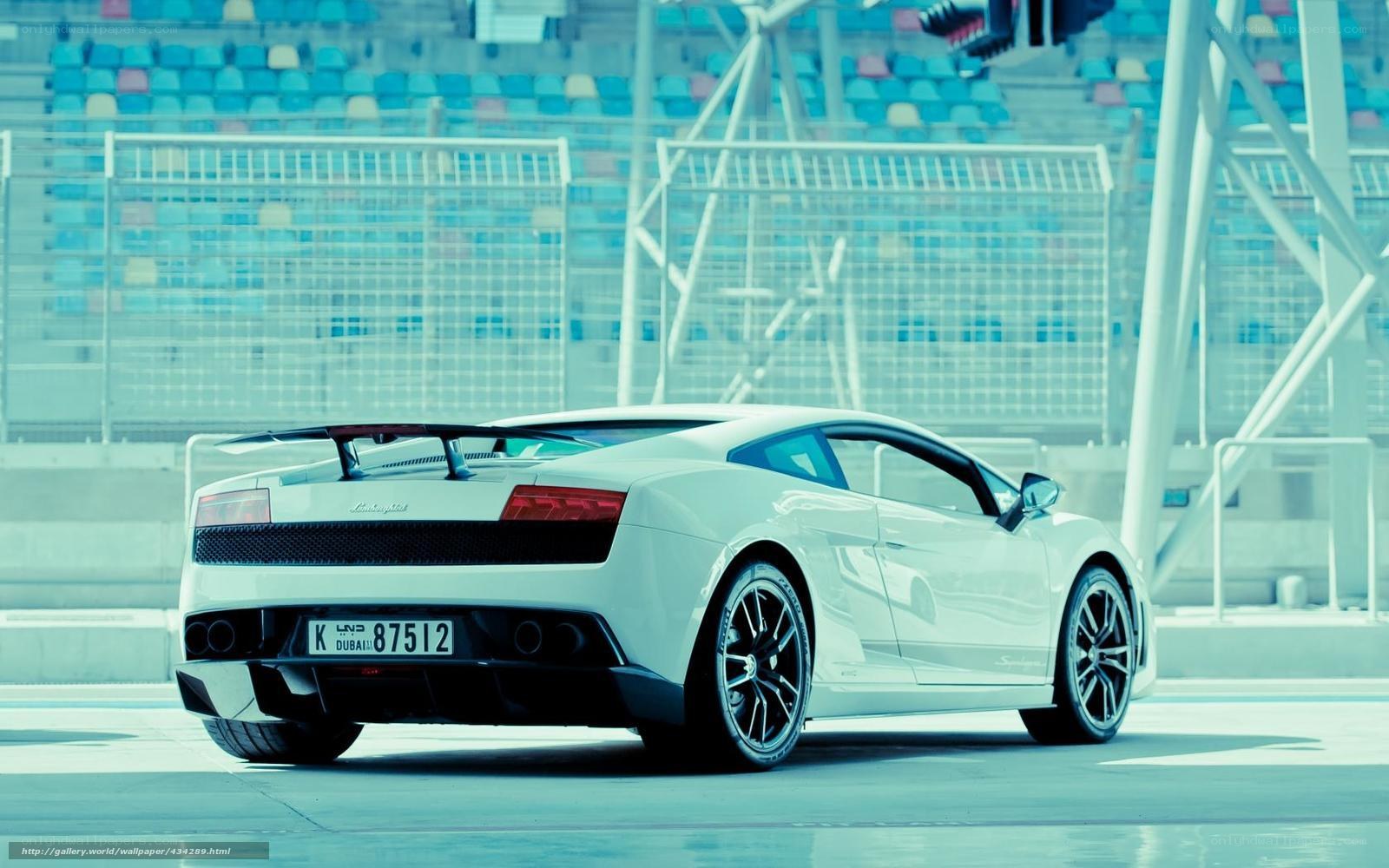 White Lamborghini on racetrack