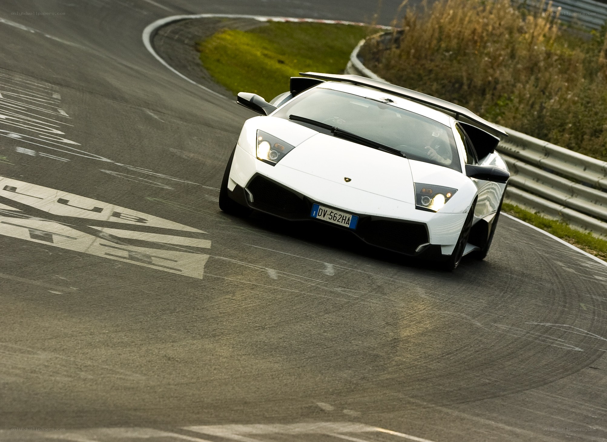 White Lamborghini on racetrack