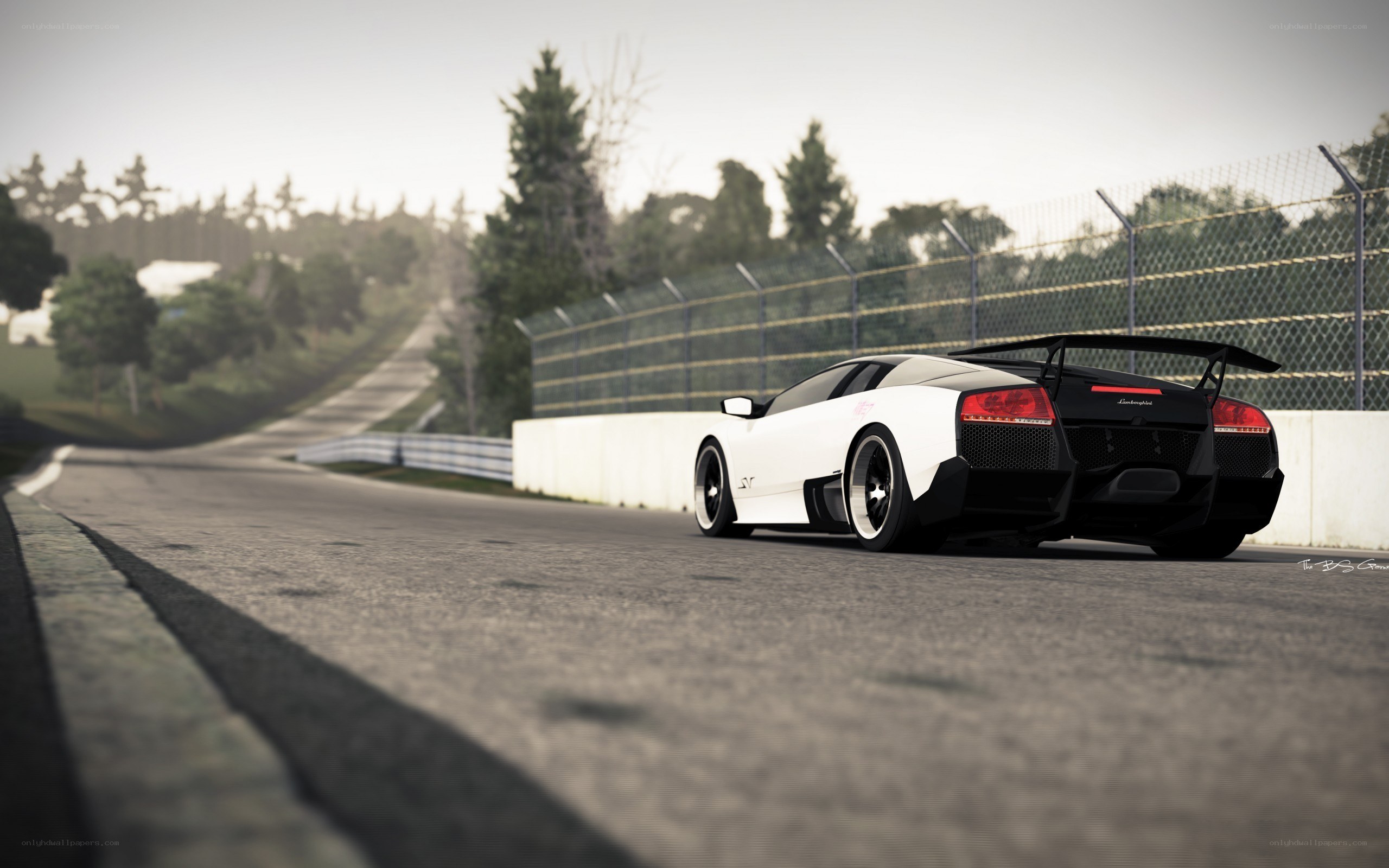 white lamborghini on racetrack