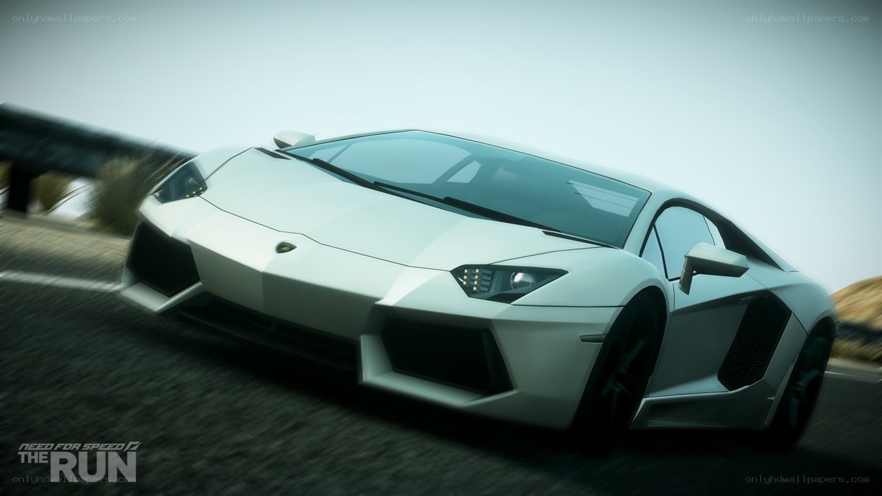white lamborghini on road