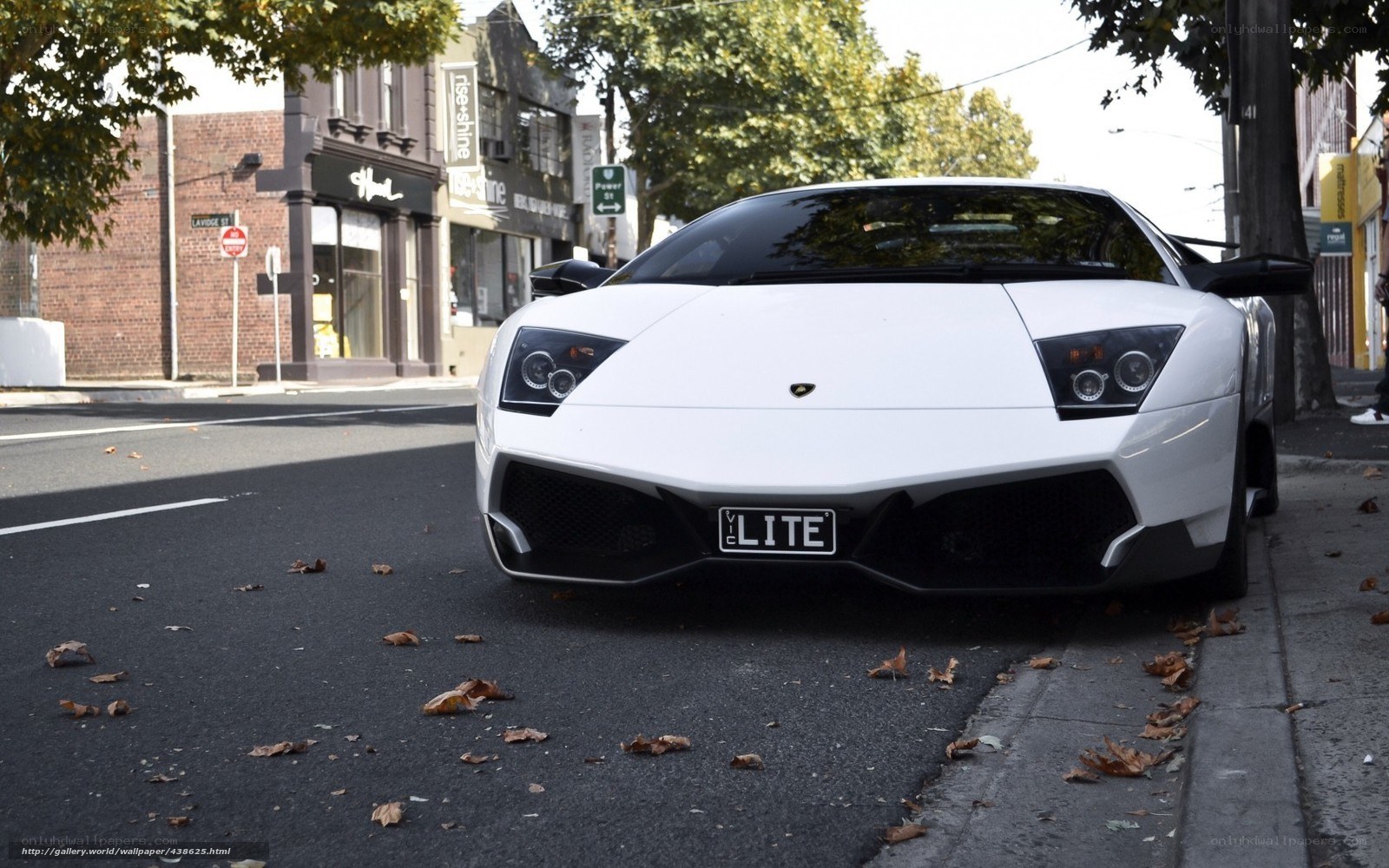 white lamborghini on street