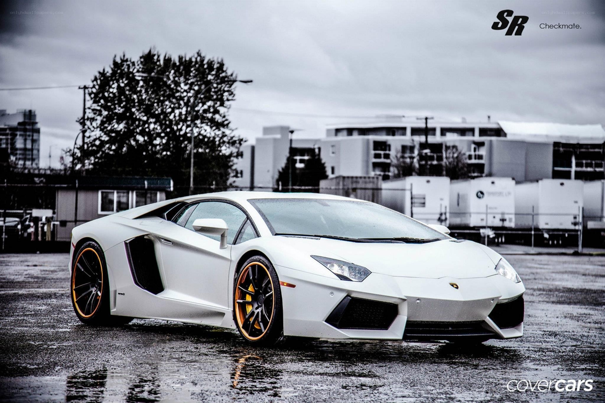 white lamborghini on wet pavement