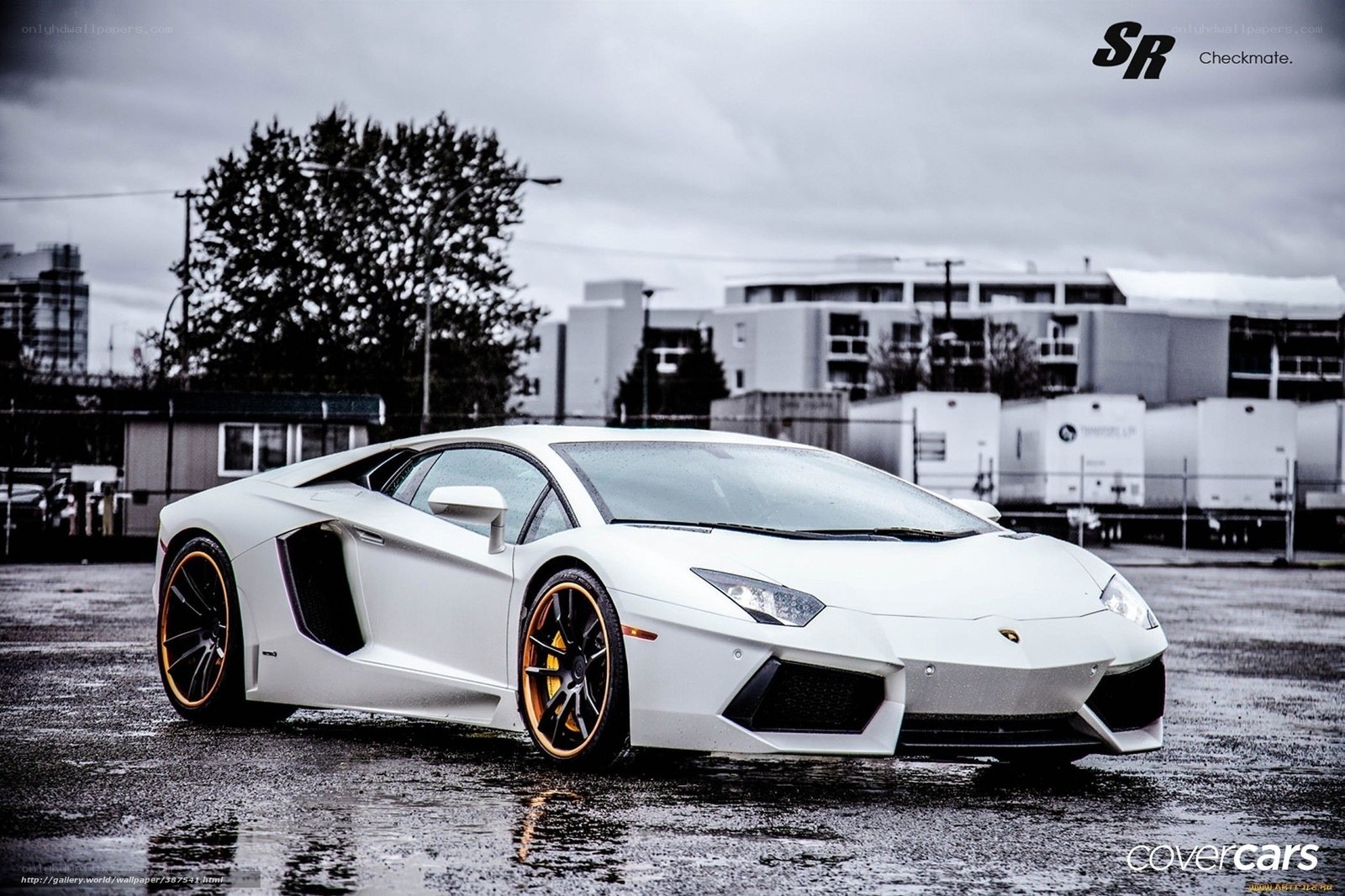 White Lamborghini on wet pavement