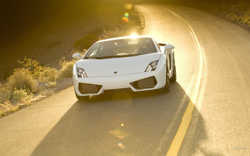 white lamborghini on winding road