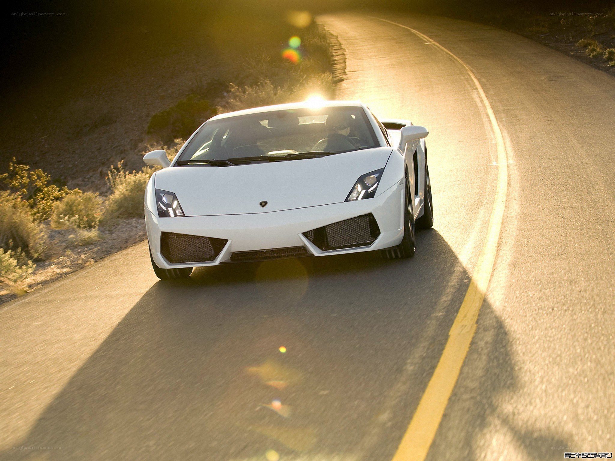 white lamborghini on winding road
