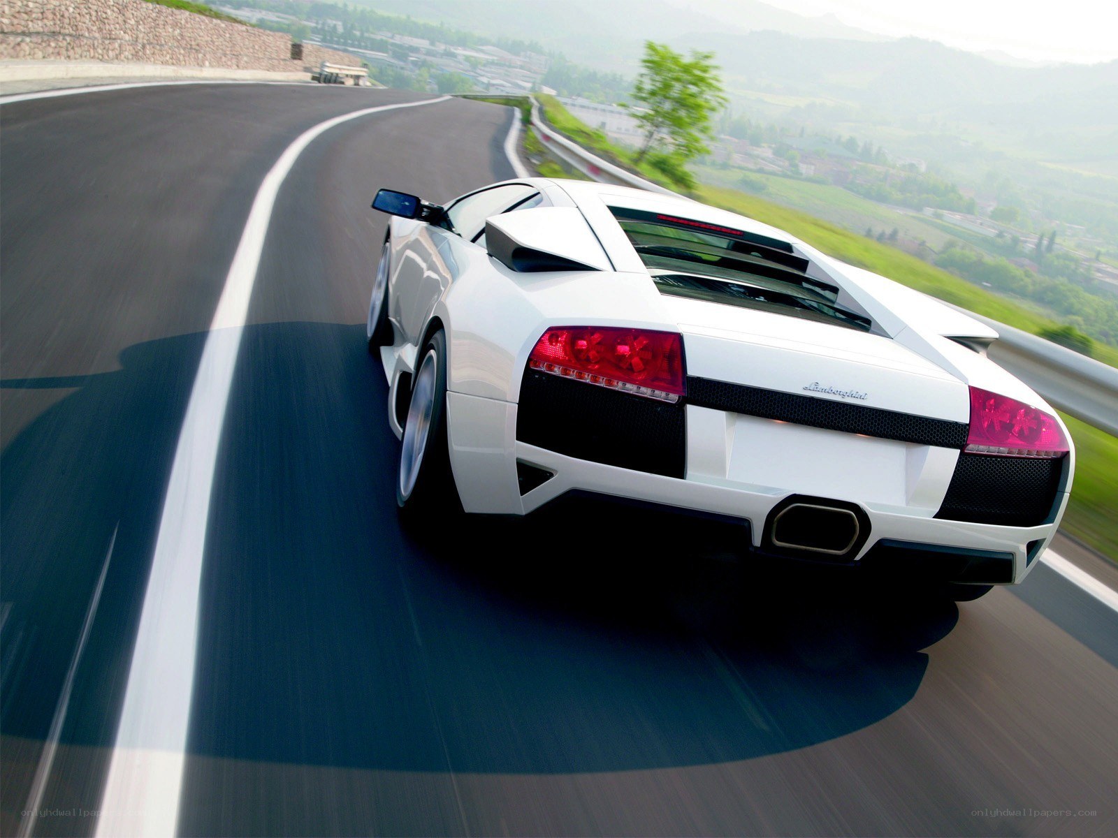 white lamborghini on winding road