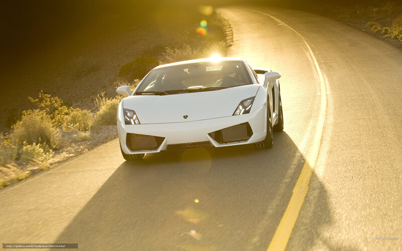 White Lamborghini on winding road
