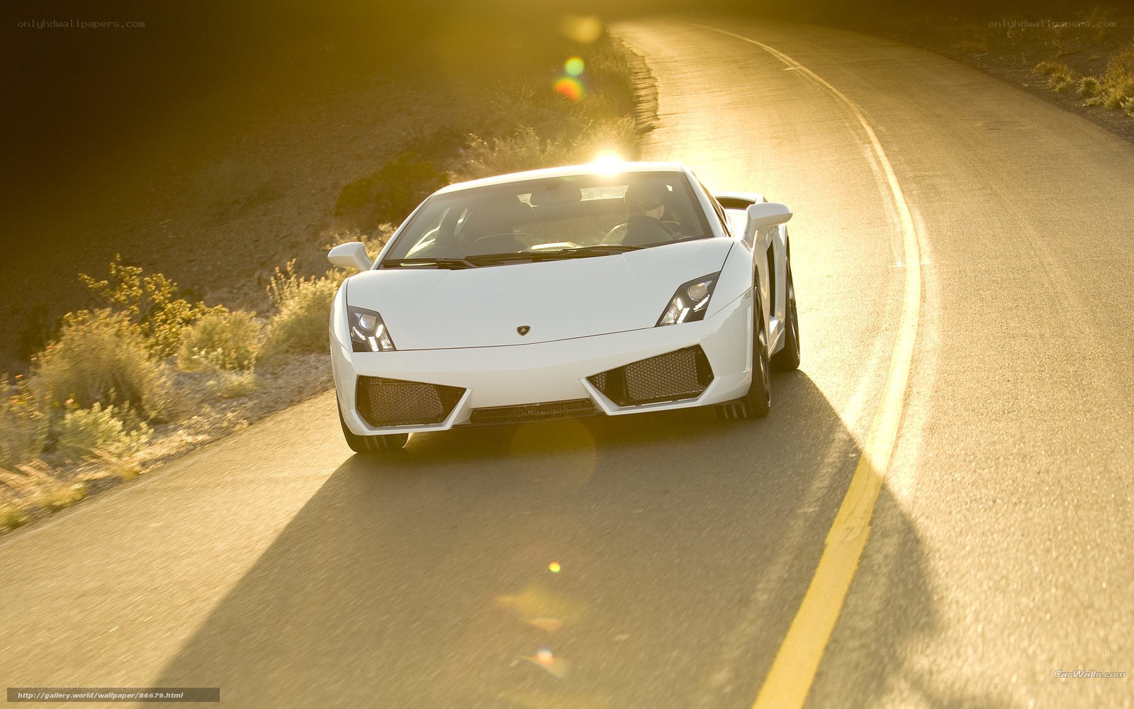 White Lamborghini on winding road