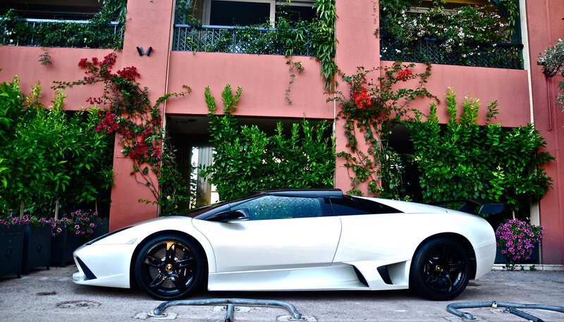 White Lamborghini parked in garden