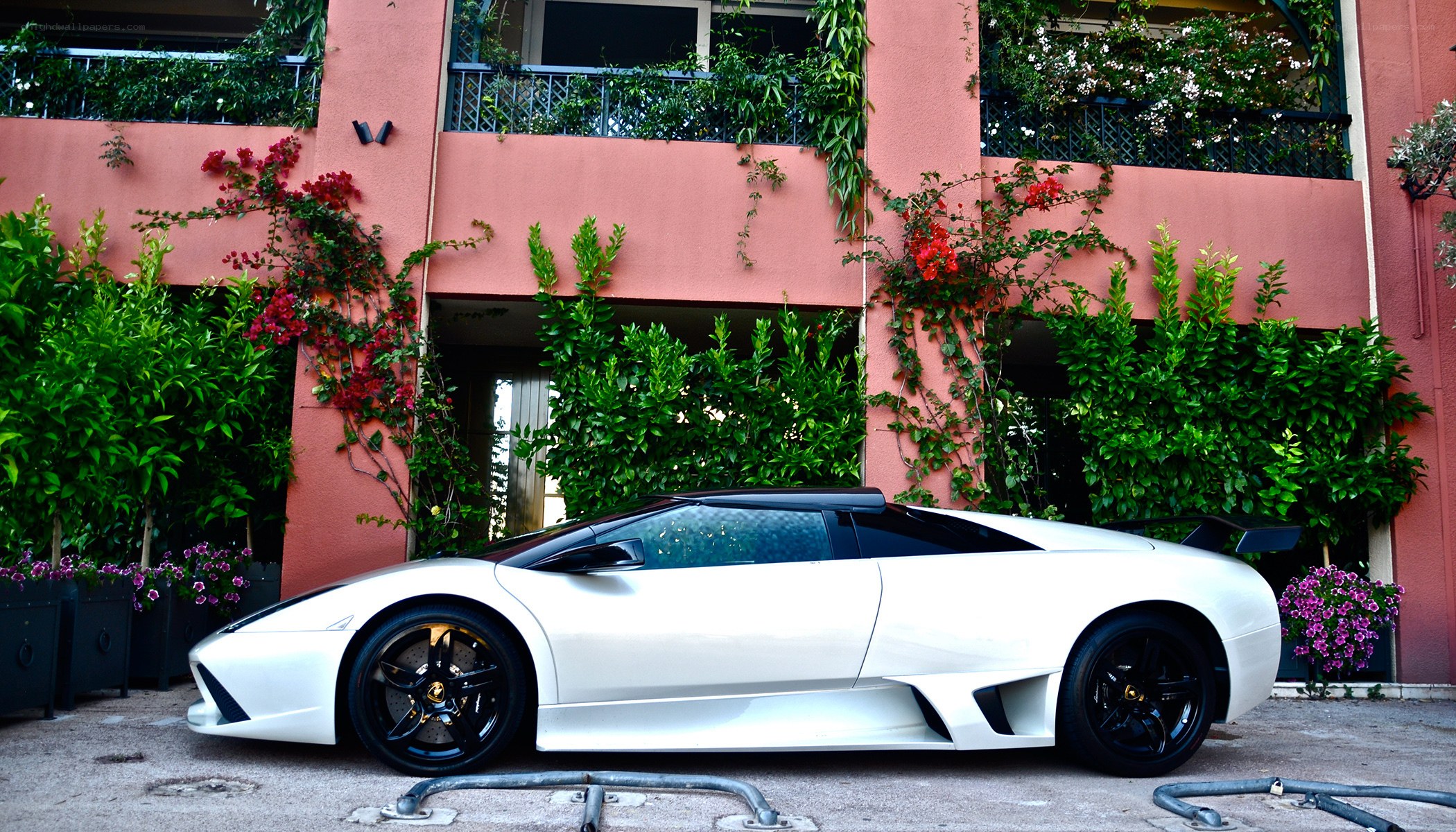 White Lamborghini parked in garden