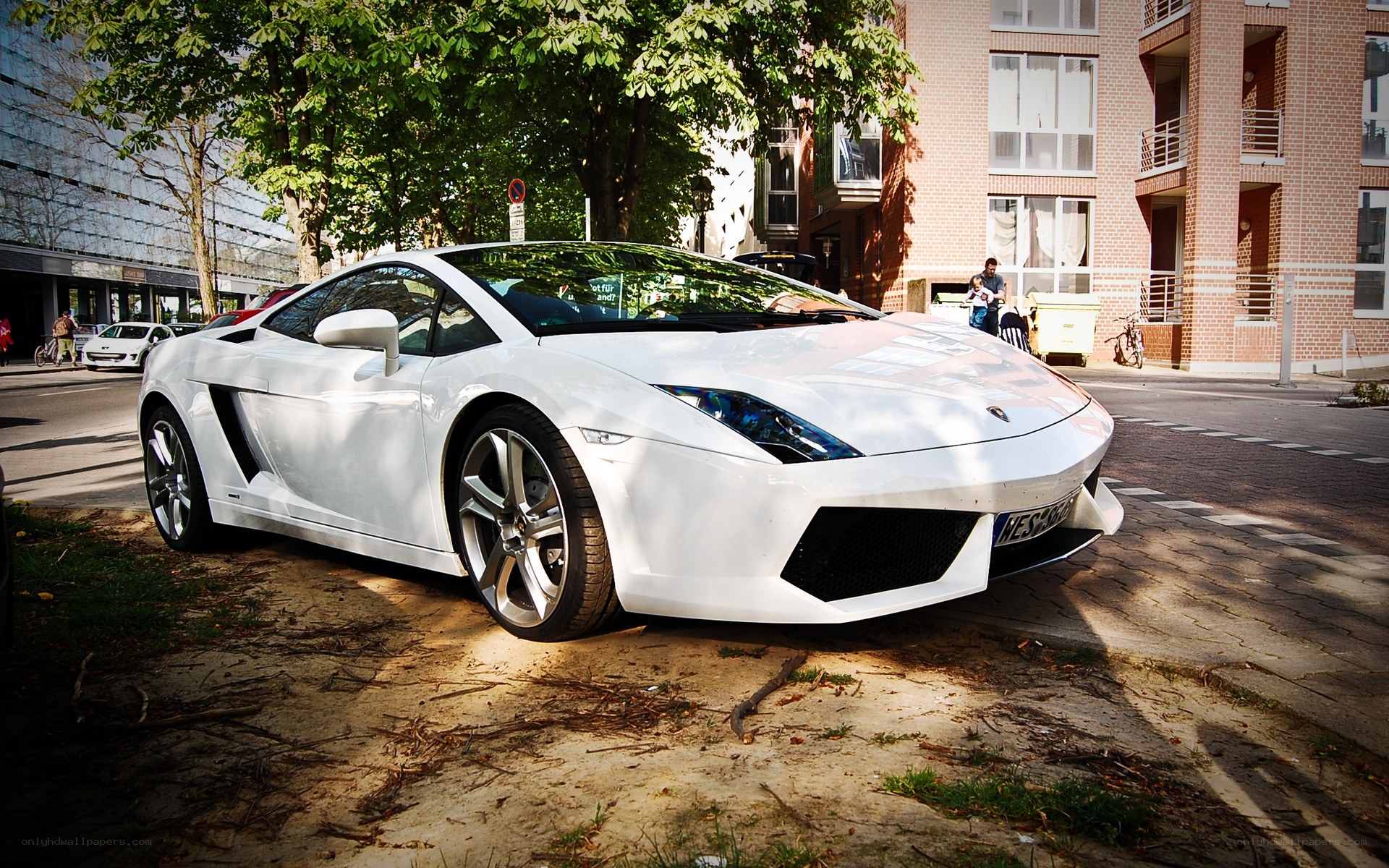 White Lamborghini parked on dirt