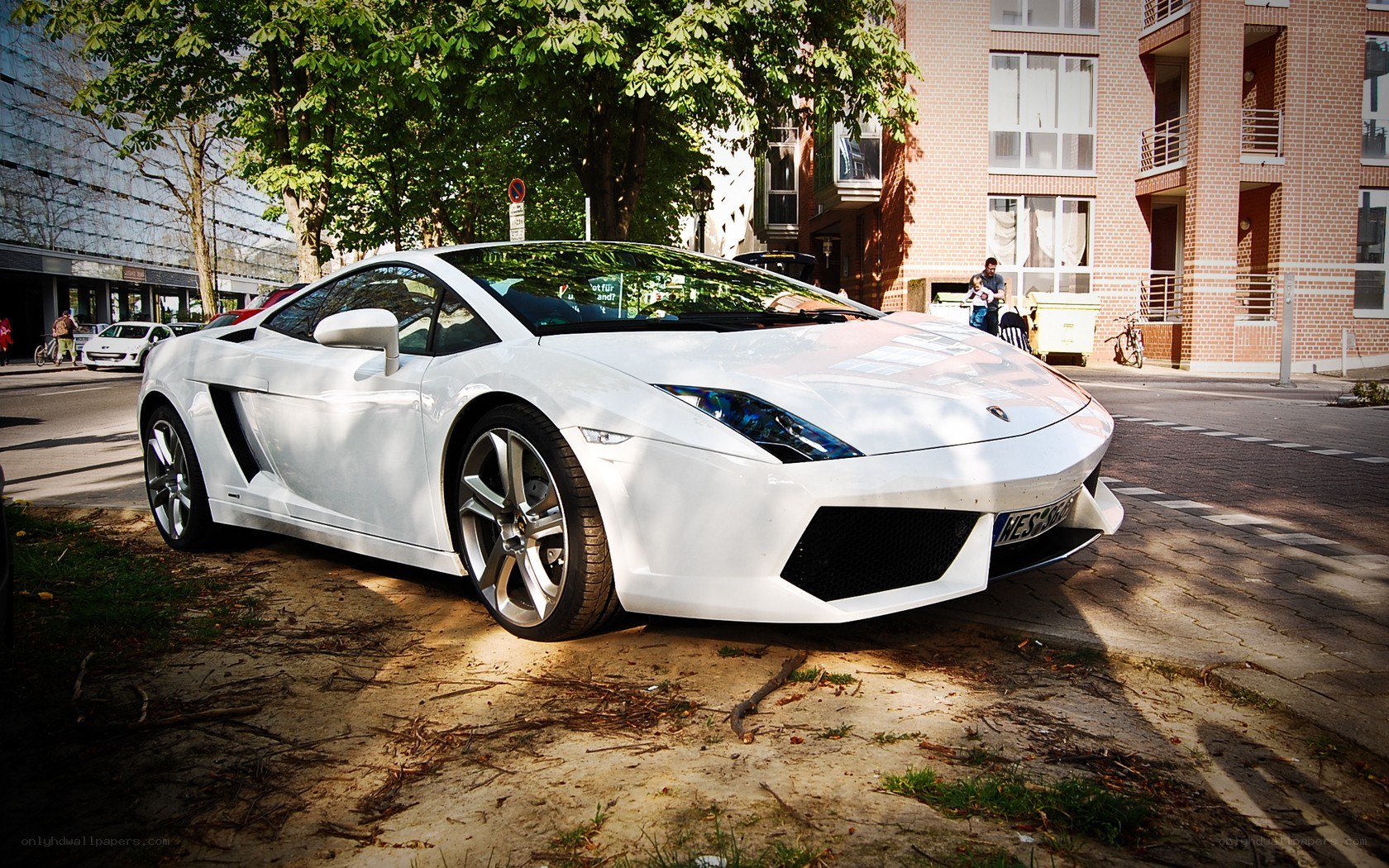 White Lamborghini parked on dirt