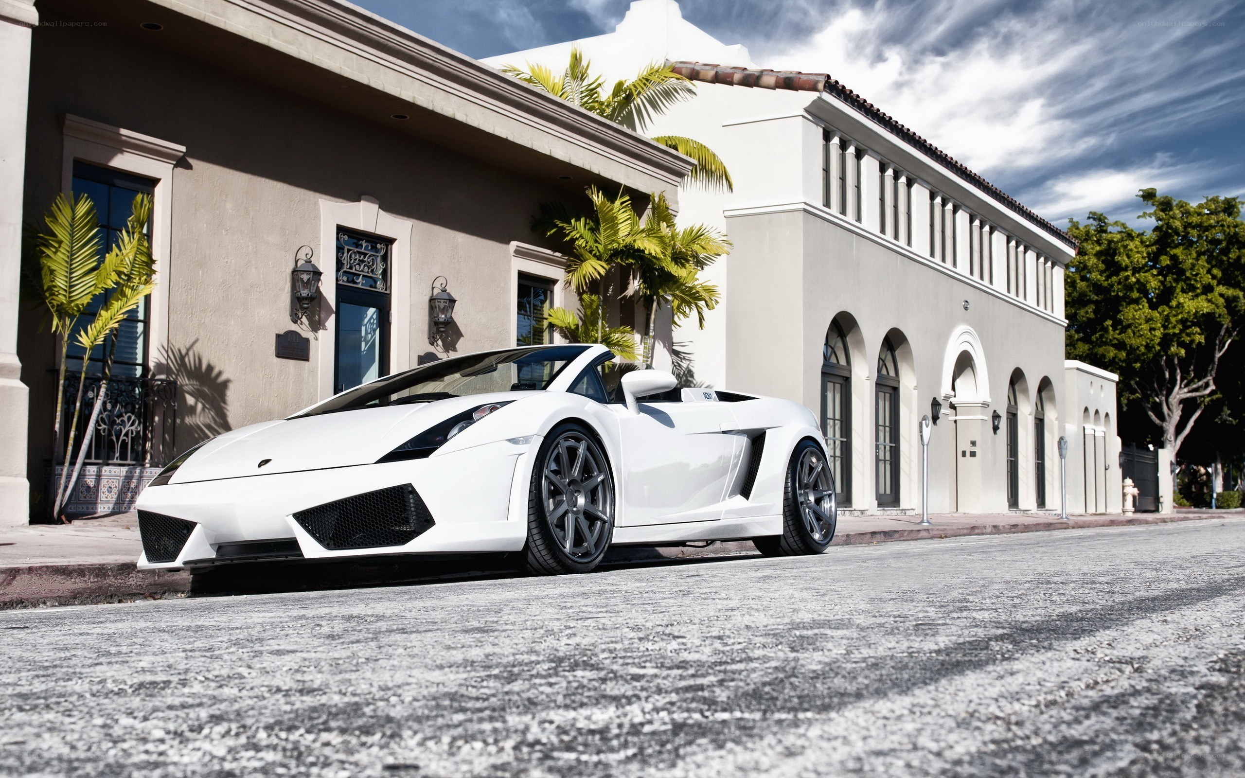 White Lamborghini parked on street