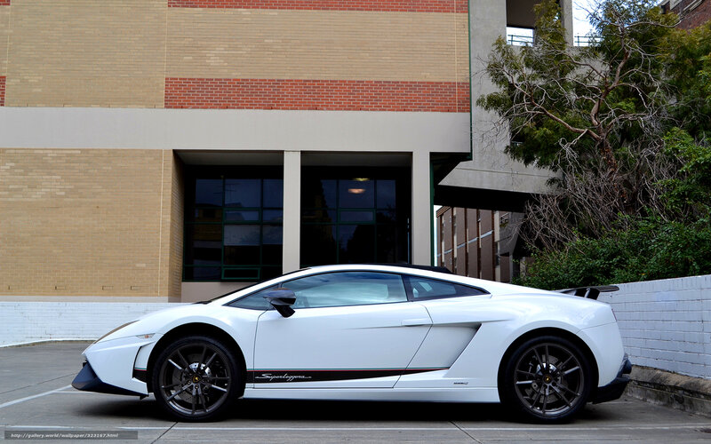 white lamborghini parked outside
