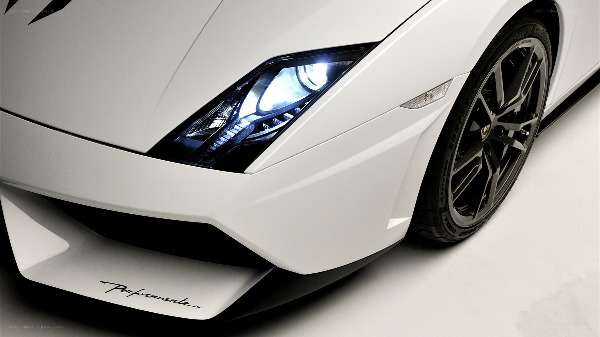 white lamborghini performante