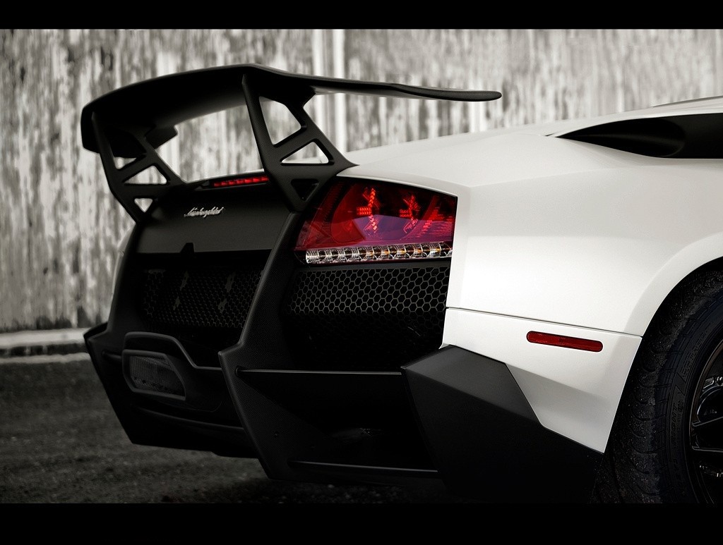 white lamborghini rear view