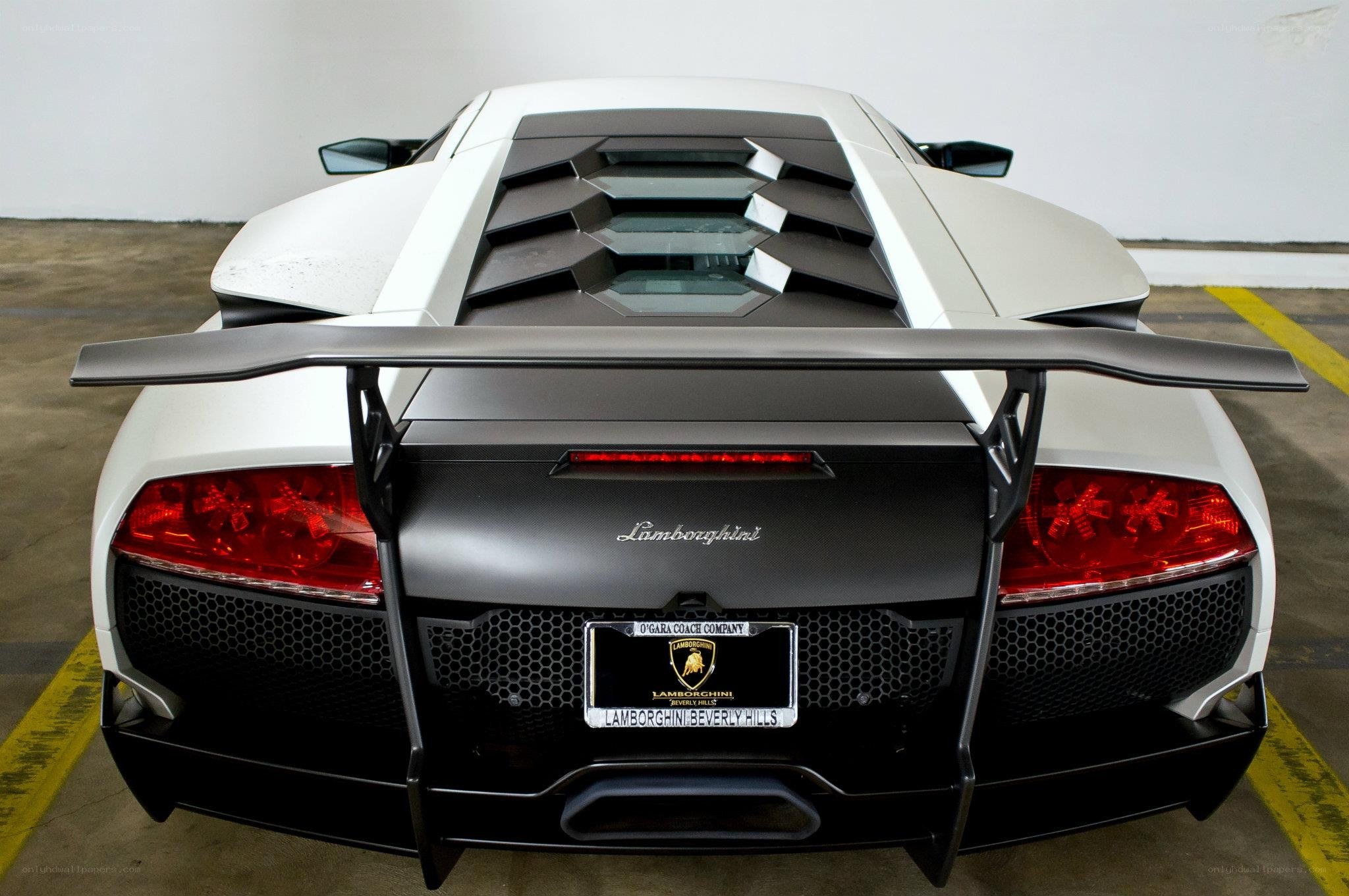 white lamborghini rear view