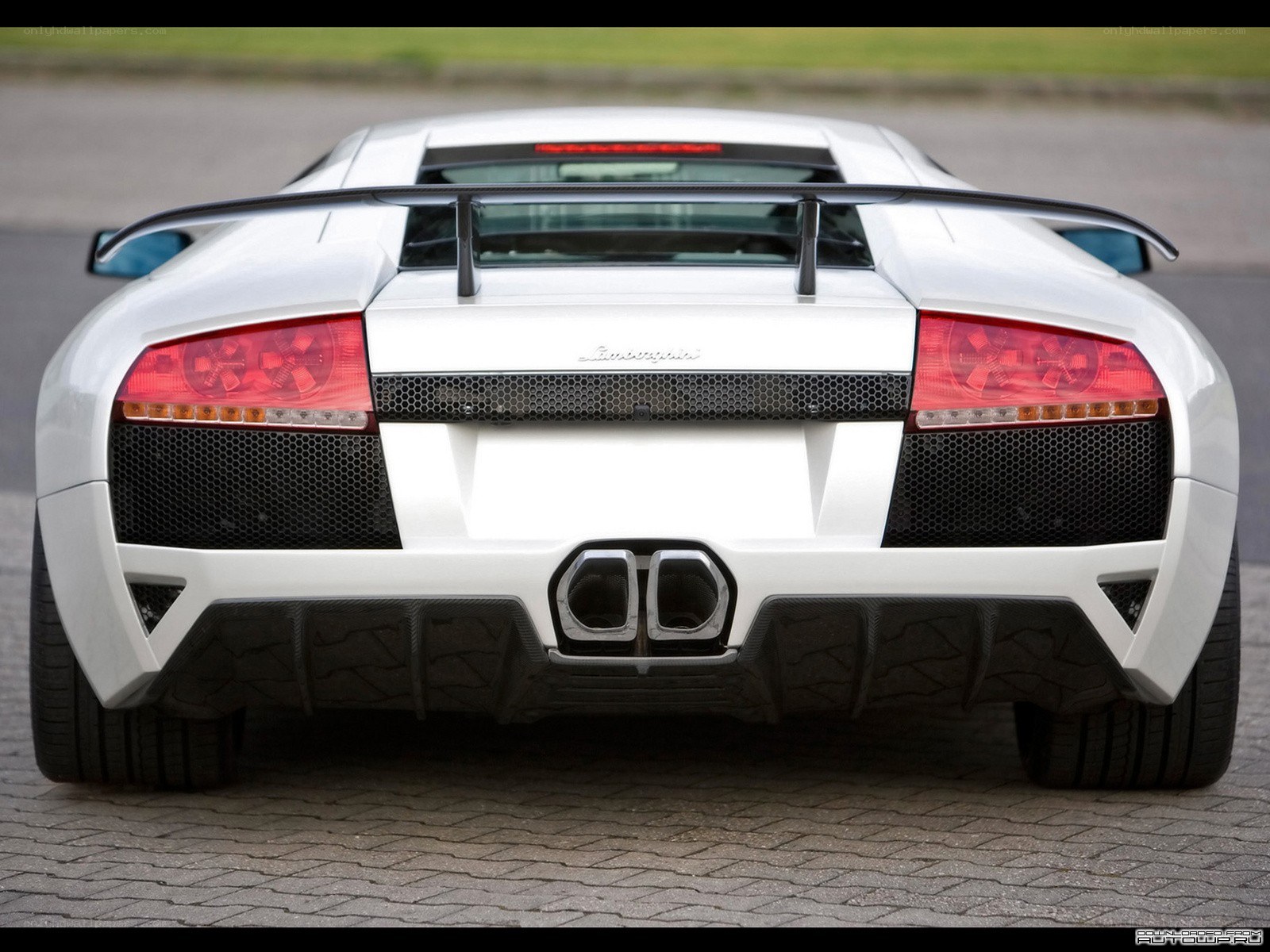 white lamborghini rear view
