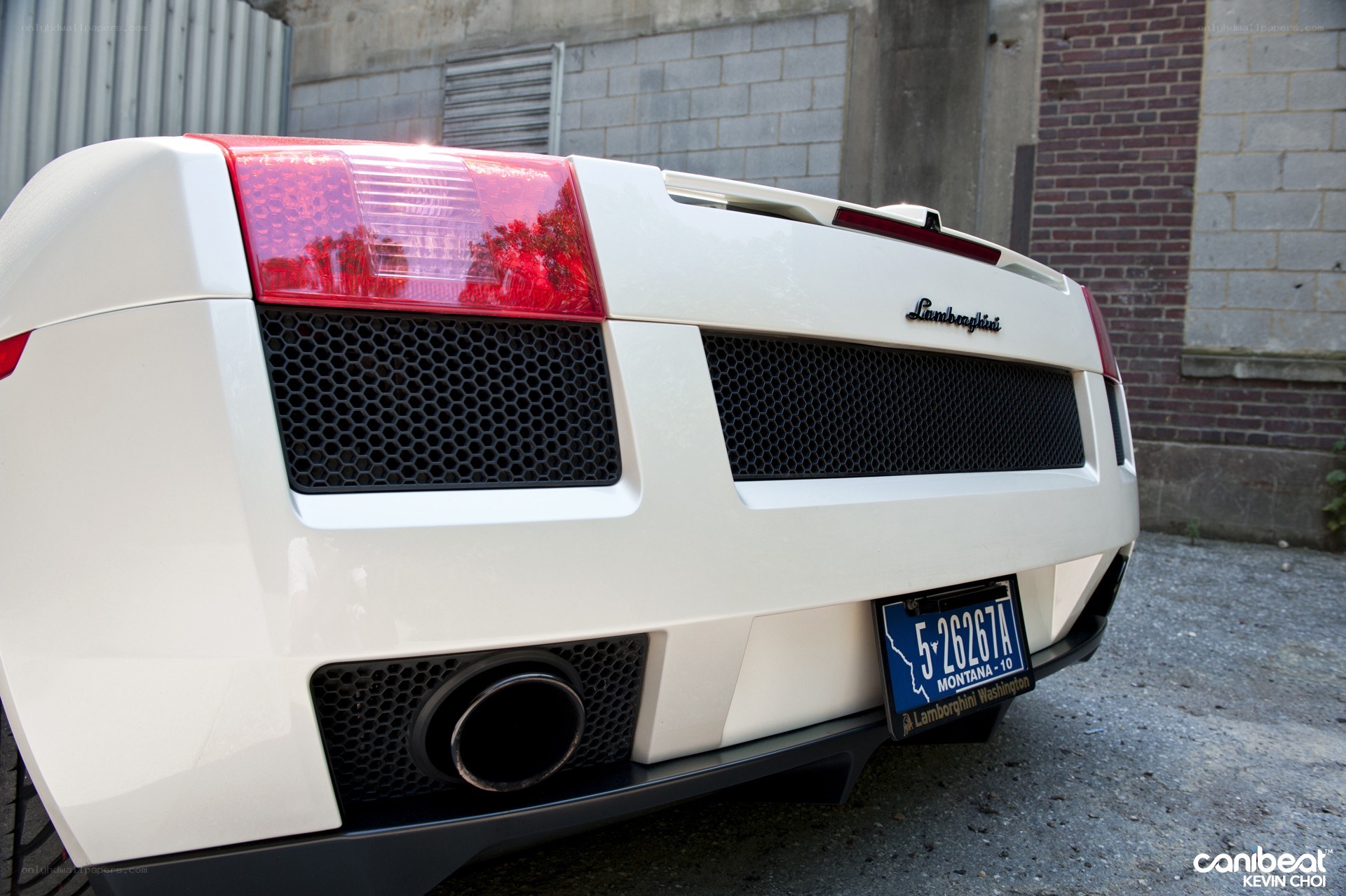 white lamborghini rear view