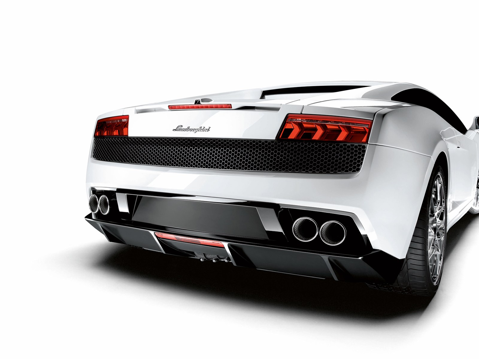 white lamborghini rear view