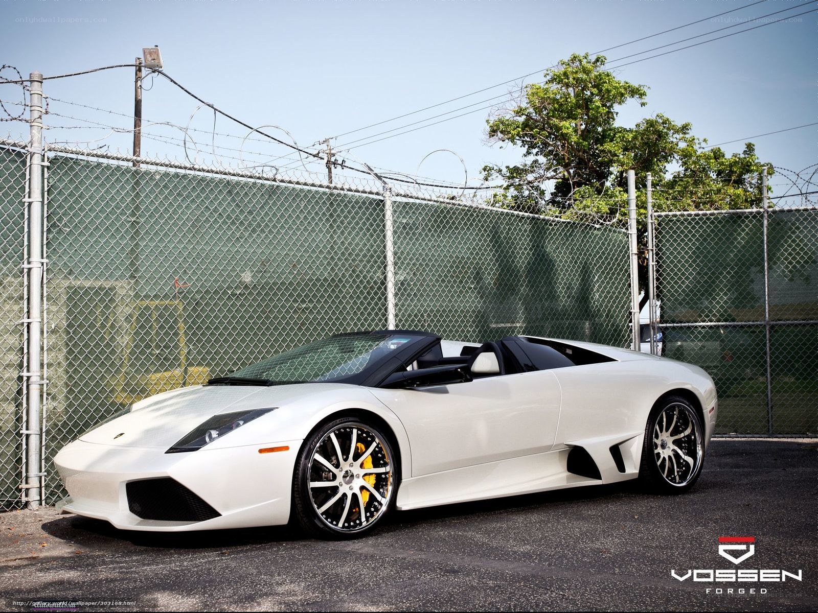white lamborghini roadster
