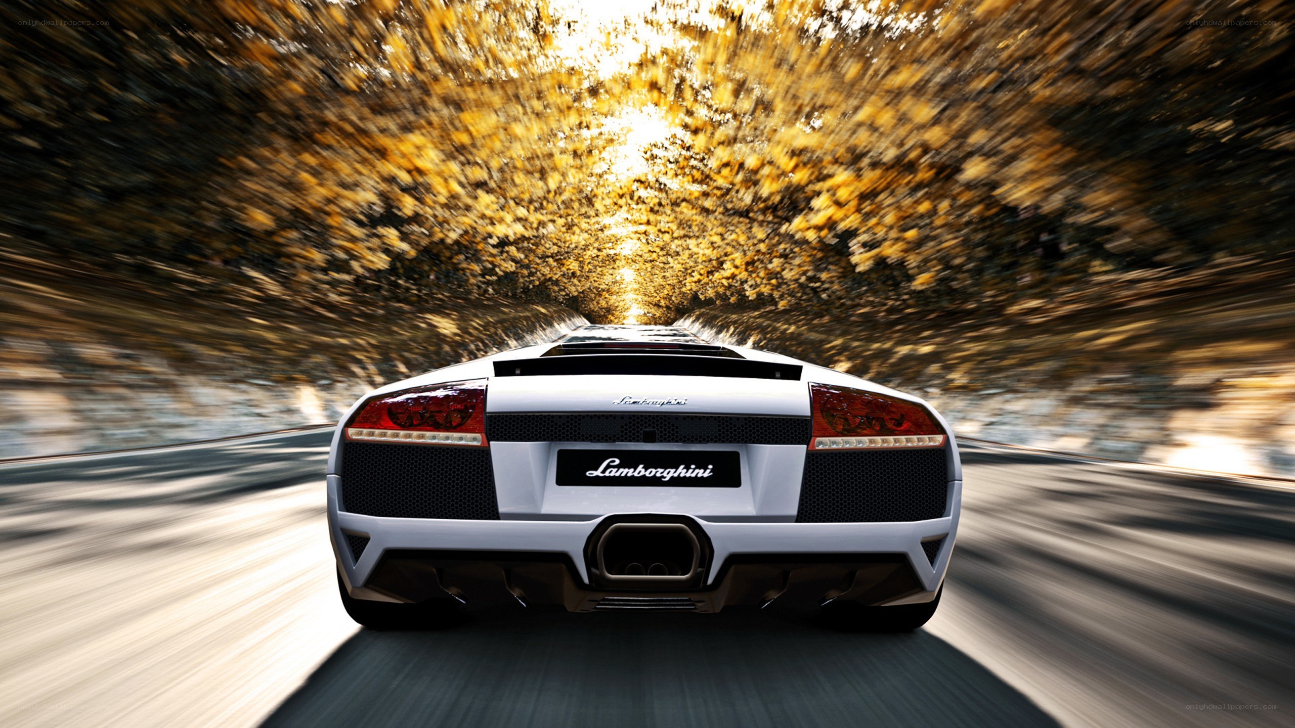 White Lamborghini speeding on road